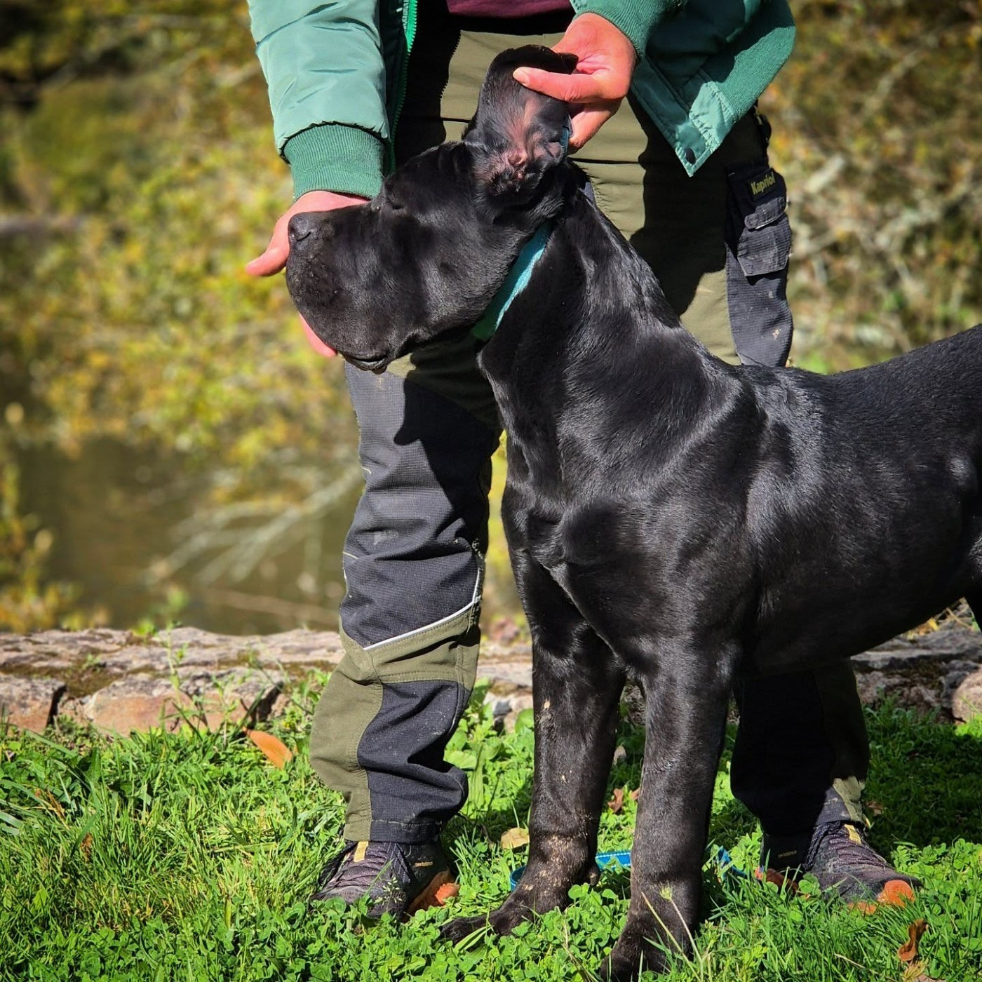 ASCO  des Gardiens de Maelys